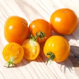 🍅 Graines de TOMATE - TOMATE CARO RICH Vitamine A - Graines BIO