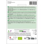 HARICOT À RAMES VIOLET MANGETOUT Blauhilde - Graines BIO | Sativa | Graines et Bio
