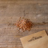 RADIS RONDS COLORÉS en MÉLANGE - Graines non traitées | Ferme de Sainte Marthe | Graines et Bio