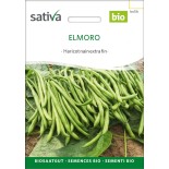 HARICOT NAIN EXTRA FIN FILET Elmoro - Graines BIO | Sativa | Graines et Bio