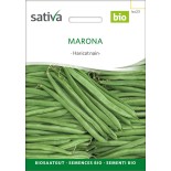 HARICOT NAIN Marona - Graines BIO | Sativa | Graines et Bio