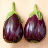 🍆 Graines d'AUBERGINE - AUBERGINE MONSTRUEUSE de New York - Graines BIO