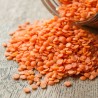 LENTILLE CORAIL - Graines non traitées | Ferme de Sainte Marthe | Graines et Bio