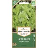LAITUE BATAVIA ICEBERG Reine des Glaces - Graines BIO | Ferme de Sainte Marthe | Graines et Bio