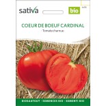 TOMATE COEUR DE BOEUF Cardinal - Graines BIO