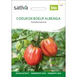 TOMATE COEUR DE BOEUF Albenga - Graines BIO