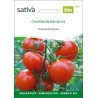TOMATE DE BALCON Chaperon Rouge - Graines BIO | Sativa | Graines et Bio