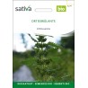 ORTIE BRÛLANTE ou Petite ORTIE - Graines BIO | Sativa | Graines et Bio