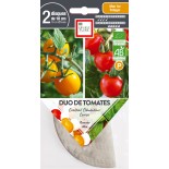 🍅 Graines de TOMATE - DUO DE TOMATES Cerise et Cocktail - Graines BIO PRÉSEMÉ