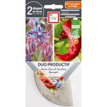 Graines BIO de Légumes en Mélange - DUO PRODUCTIF: Poivron et Bourrache - Graines BIO PRÉSEMÉ