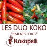 PIMENTS FORTS - DUO Kokopelli - Graines BIO | KOKOPELLI | Graines et Bio