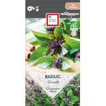BASILIC CANNELLE - Graines BIO | Ernest Turc | Graines et Bio