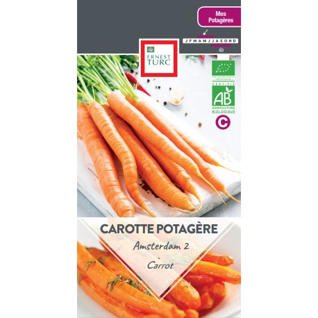 CAROTTE AMSTERDAM 2 - Graines BIO | Ernest Turc | Graines et Bio