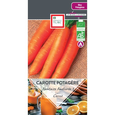 CAROTTE NANTAISE 3 - Graines BIO | Ernest Turc | Graines et Bio