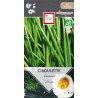 CIBOULETTE COMMUNE - Graines BIO | Ernest Turc | Graines et Bio