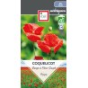 COQUELICOT ROUGE À FLEUR SIMPLE - Graines BIO | Ernest Turc | Graines et Bio