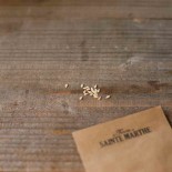 MINI CONCOMBRE à CONFIRE - Graines BIO | Ferme de Sainte Marthe | Graines et Bio
