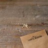 MINI CONCOMBRE à CONFIRE - Graines BIO | Ferme de Sainte Marthe | Graines et Bio