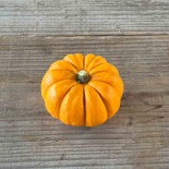 MINI COURGE Jack Be Little - Graines BIO | Ferme de Sainte Marthe | Graines et Bio