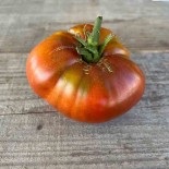 TOMATE BLACK From TULA - Graines BIO