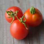 TOMATE BLOODY BUTCHER - Graines BIO