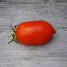 TOMATE ROMA - Graines BIO | Ferme de Sainte Marthe | Graines et Bio
