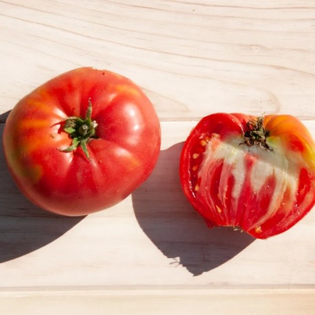 TOMATE COEUR DE BOEUF Hongrois - Graines BIO | KOKOPELLI | Graines et Bio