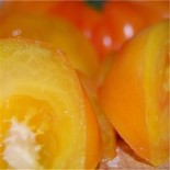 TOMATE ANANAS PINEAPPLE - Graines BIO | Ferme de Sainte Marthe | Graines et Bio