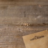 TOMATE LA CAROTINA - Graines BIO | Ferme de Sainte Marthe | Graines et Bio