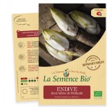 ENDIVE Demi Hâtive DE HOLLANDE - Graines BIO | La Semence Bio | Graines et Bio