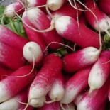 Pack "Les Incontournables du Potager" - Graines Bio |  | Graines et Bio
