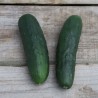 Pack "Les Incontournables du Potager" - Graines Bio |  | Graines et Bio