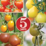 Pack "L'Apéro" - Graines Bio |  | Graines et Bio