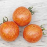 TOMATE RED ZEBRA - Graines BIO