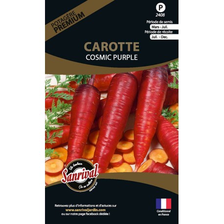 CAROTTE ROUGE ATOMATIC RED - Graines PREMIUM non traitées | SANRIVAL | Graines et Bio CAROTTE ROUGE ATOMATIC RED - Graines PREMIUM non traitées | SANRIVAL | Graines et Bio