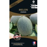 MELON ANANAS - Graines PREMIUM non traitées | SANRIVAL | Graines et Bio