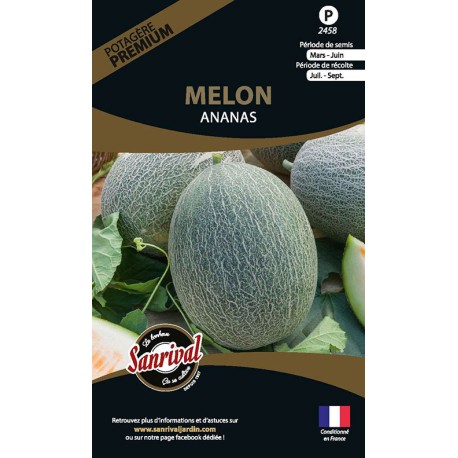 MELON ANANAS - Graines PREMIUM non traitées | SANRIVAL | Graines et Bio