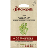 Graines de BASILIC - BASILIC GRAND VERT +50% - Graines BIO