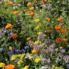 FLEURS pour CUISINER en Mélange - Graines BIO | Ferme de Sainte Marthe | Graines et Bio