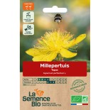 MILLEPERTUIS Topas - Graines BIO |  | Graines et Bio
