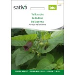 BELLADONE - Graines BIO | Sativa | Graines et Bio