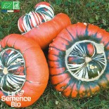 COURGE GIRAUMON TURBAN - Graines BIO | La Semence Bio | Graines et Bio