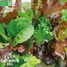 MESCLUN DE LAITUES À COUPER - Graines BIO | La Semence Bio | Graines et Bio