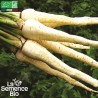 PANAIS de Guernesey - Graines BIO | La Semence Bio | Graines et Bio