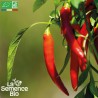 PIMENT TRÈS FORT Sucette de Provence - Graines BIO | La Semence Bio | Graines et Bio