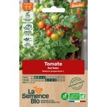 TOMATE CERISE Red Robin - Graines BIO | La Semence Bio | Graines et Bio
