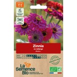 ZINNIA en Mélange - Graines BIO | La Semence Bio | Graines et Bio