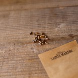 CARDON BLANC - Graines BIO | Ferme de Sainte Marthe | Graines et Bio