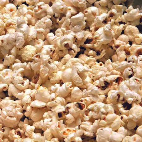 MAÏS POP CORN CINÉMA - Graines BIO | Ferme de Sainte Marthe | Graines et Bio
