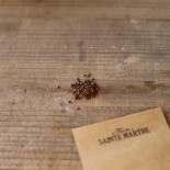 SAUGE Sclarée - Graines BIO | Ferme de Sainte Marthe | Graines et Bio